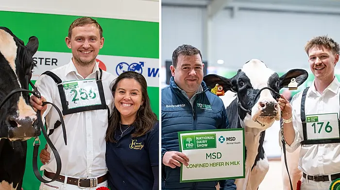 Lisroe's Helen family celebrate historic hat-trick at FBD National Dairy Show Image