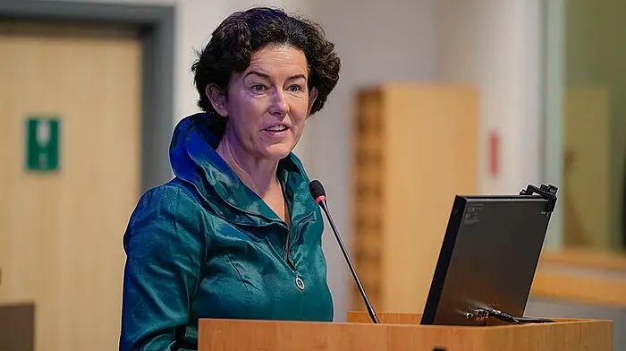 Bandon Councillor elected president of influential European political group Image