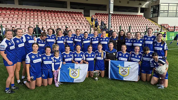 Ballinhassig hit top gear to claim county camogie crown Image