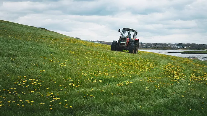 Cork farmers face €39m annual loss under proposed EU CAP budget cuts, council hears Image