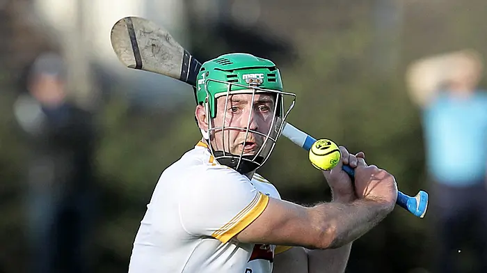 ANOTHER SHOT AT GLORY: Michael Cahalane and Bandon’s 2016 survivors are chasing another county title Image