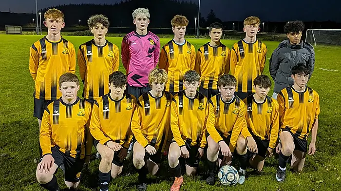 West Cork clubs flying high in national cups Image