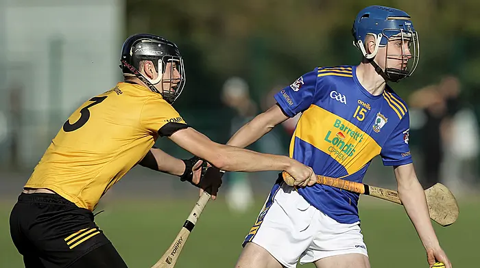 Mighty Diarmuid Ó Mathúnas rule Carbery hurling again, as new champions win second title in three seasons Image
