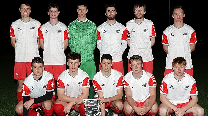 Chris Collins and Robbie McQueen on target as West Cork makes winning return to Oscar Traynor Cup Image