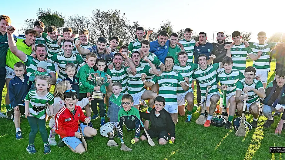 Valley Rovers claim Carrigdhoun junior A hurling title Image
