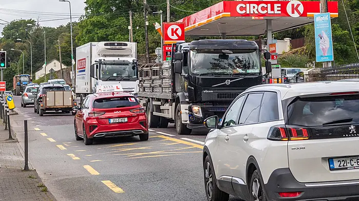 Bypass projects for Bandon and Innishannon moving a step closer as plans lodged Image