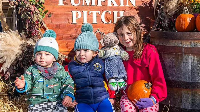 Ardfield, West Cork, Ireland. 17th Oct, 2026. St. James GAA Club is holding a family-friendly Halloween pumpkin patch as a fundraiser experience for the next two weekends. Visitors can expect pumpkin picking, creative and spooky themed displays, and the custom \