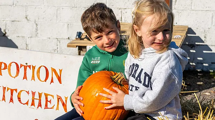 Ardfield, West Cork, Ireland. 17th Oct, 2026. St. James GAA Club is holding a family-friendly Halloween pumpkin patch as a fundraiser experience for the next two weekends. Visitors can expect pumpkin picking, creative and spooky themed displays, and the custom \