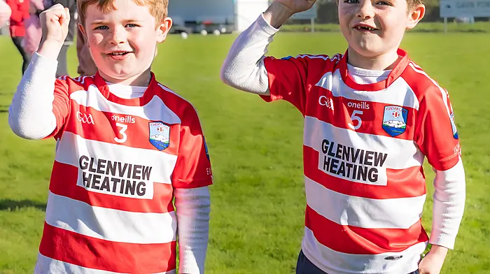 Odhrán and Cian O Sullivan celebrating Adrigole's win in the Beara Junior B Championship Picture: Anne Marie Cronin Photography