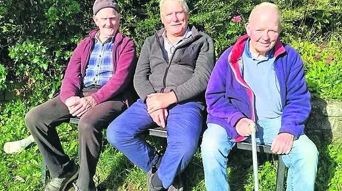 Valley Rovers club president Dave McCarthy, Jim Young and Tom Fitzgerald enjoying a fine day in the Bleach and watching the completion of the club's impressive development programme there.