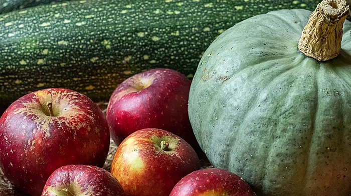 GARDENING: Sow spring crops now and lift root vegetables Image