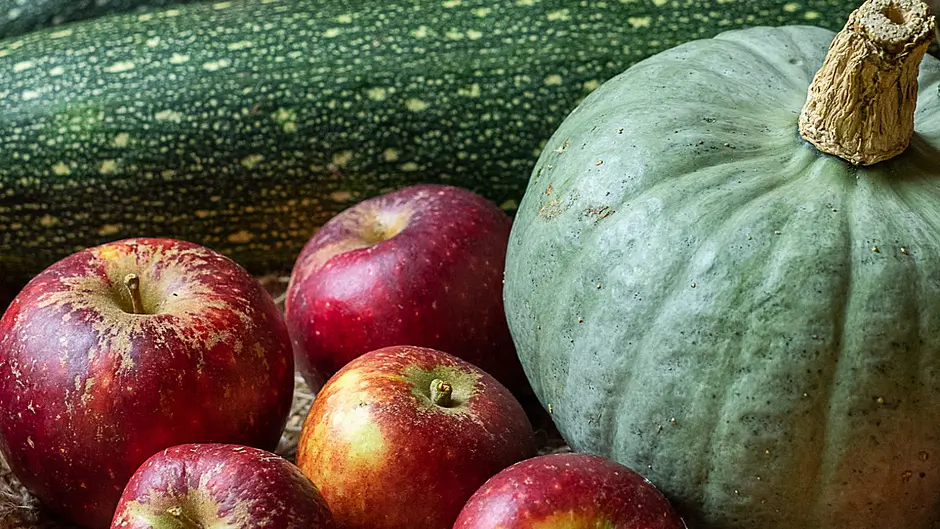 GARDENING: Sow spring crops now and lift root vegetables Image