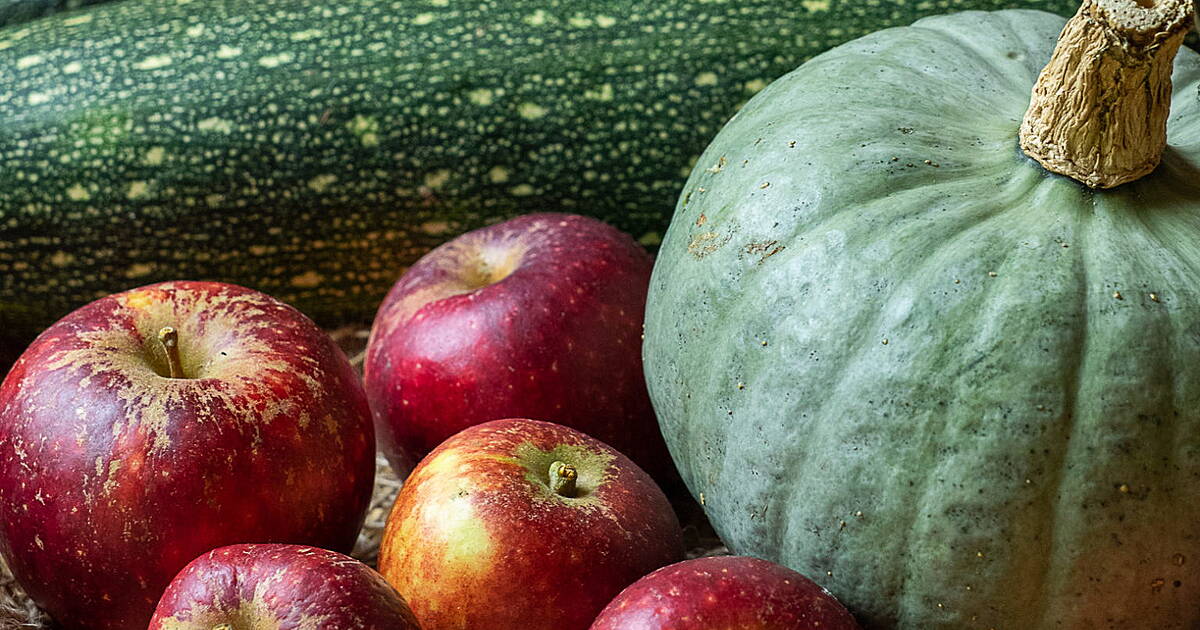 GARDENING: Sow spring crops now and lift root vegetables