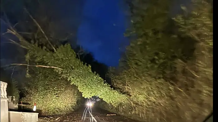 Public advised to exercise caution following Storm Austen Image