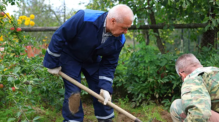 Clarity sought on Men’s Shed funding Image