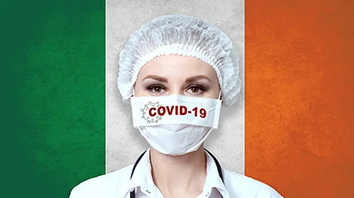 Covid-19 Monday: no deaths, 11 new cases Image