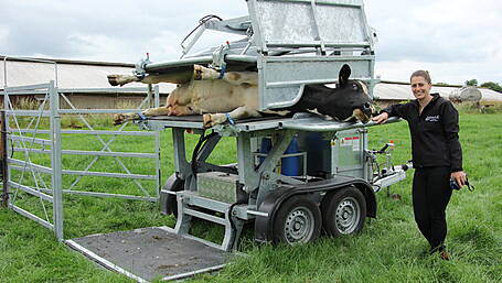 HoofCare...cares for your needs Image