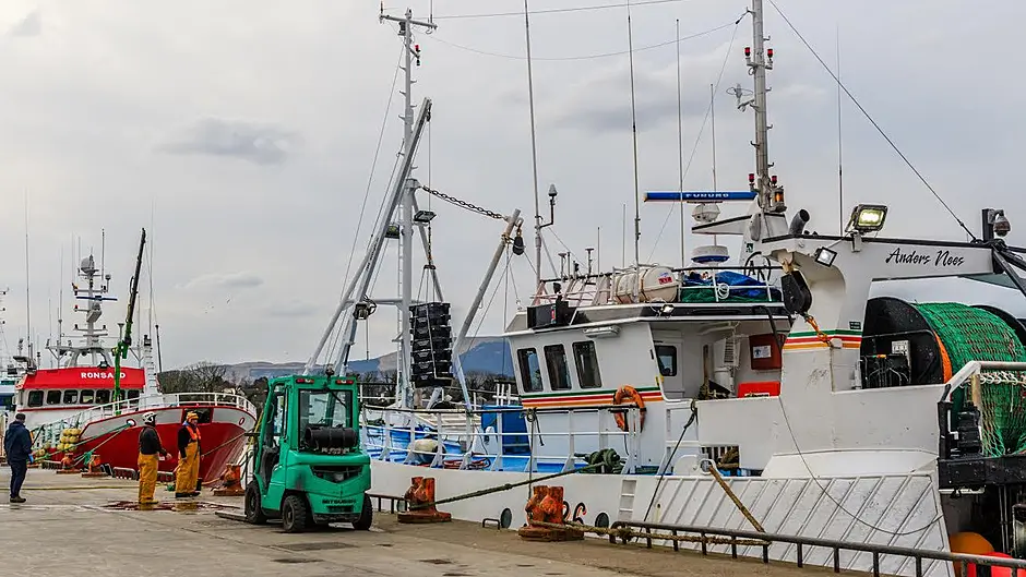 New measures to support fishing sector during Covid-19 crisis Image