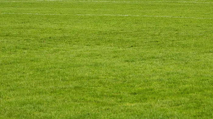PITCH PERFECT: The search is on to find the best GAA pitch in West Cork Image