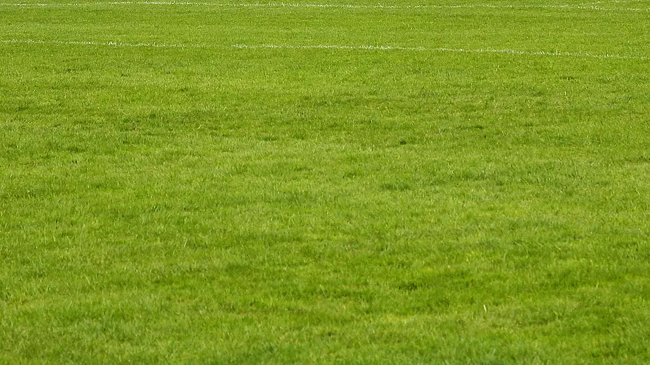 PITCH PERFECT: The search is on to find the best GAA pitch in West Cork Image