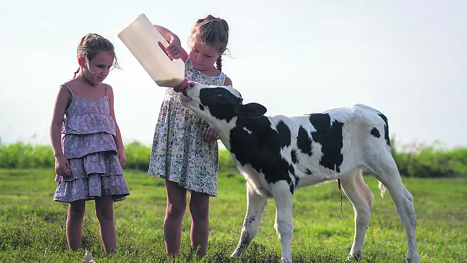 Safety of children on farms paramount Image