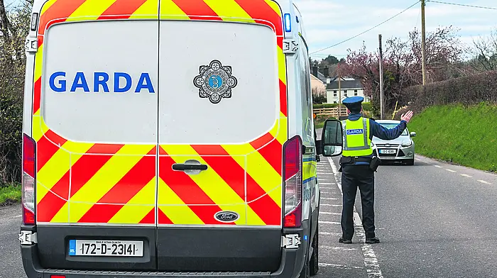 Division gets seven new Garda recruits to support community Image