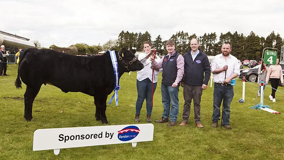Summer agricultural shows cancelled for 2020 Image