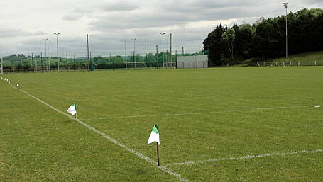 McCarthy: Open GAA pitches for kids Image