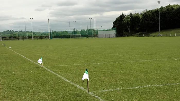 Should GAA matches be played behind closed doors this year? Image
