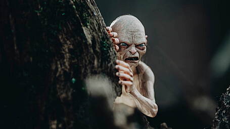 Diary of a demented homeworker: Gollum and newfound respect for Miriam O'Callaghan Image