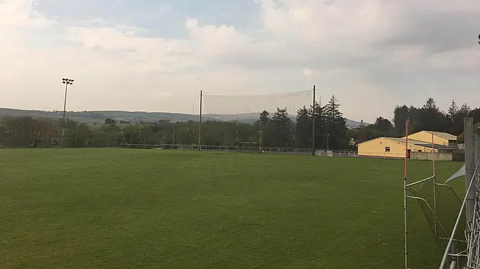 Tadhg MacCarthaigh's field of dreams hits all the right notes to win Pitch Perfect Image