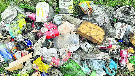 Councillor says day of action needed to tackle roadside littering across county Image