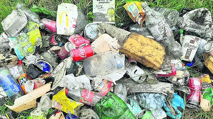 Councillor says day of action needed to tackle roadside littering across county Image