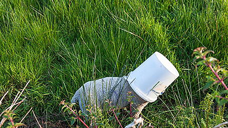 A baaa-d day rescued for little lamb who got head stuck in feeding bucket Image