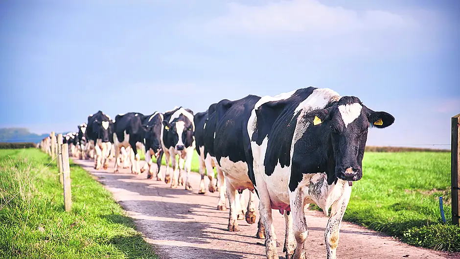 DIARY OF A DEMENTED HOME WORKER: Waxing lyrical about my new farmer’s tan Image