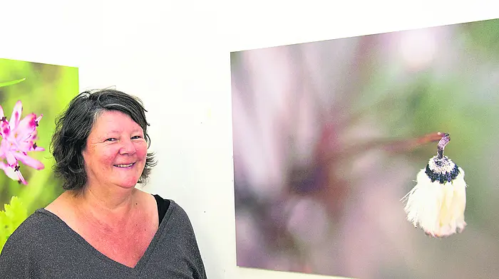 West Cork artists get creative for Penny Dinners Image