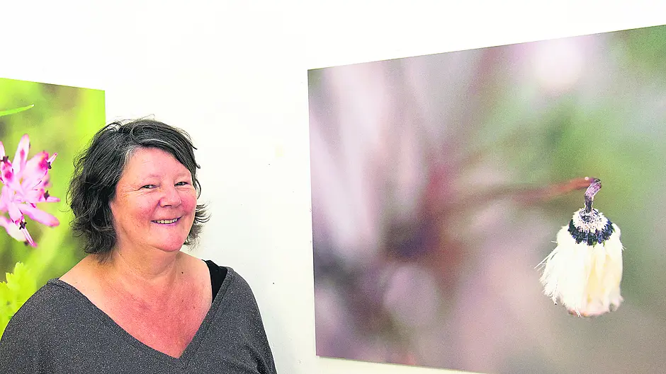 West Cork artists get creative for Penny Dinners Image