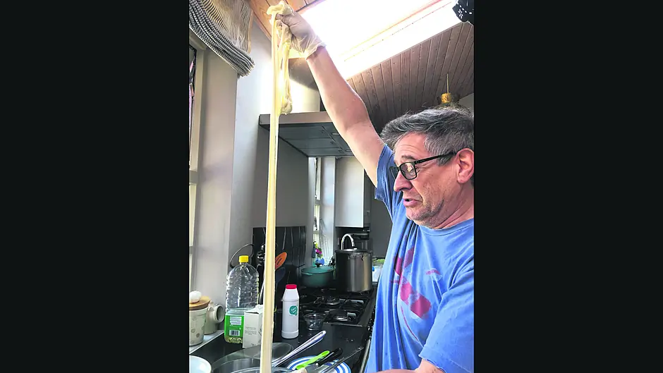 Say cheese! TV man Andrew is milking his lockdown project Image