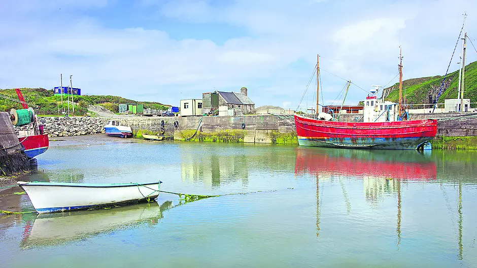 Oileán Chléire facing summer like no other Image