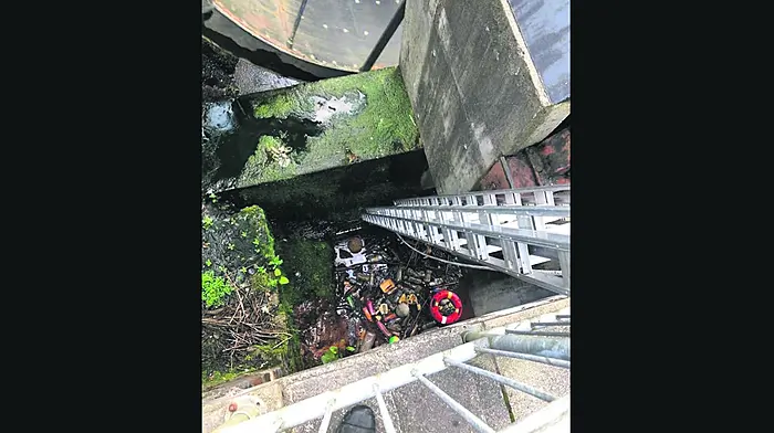 Fire service comes to the  aid of Bantry Tidy Towns Image