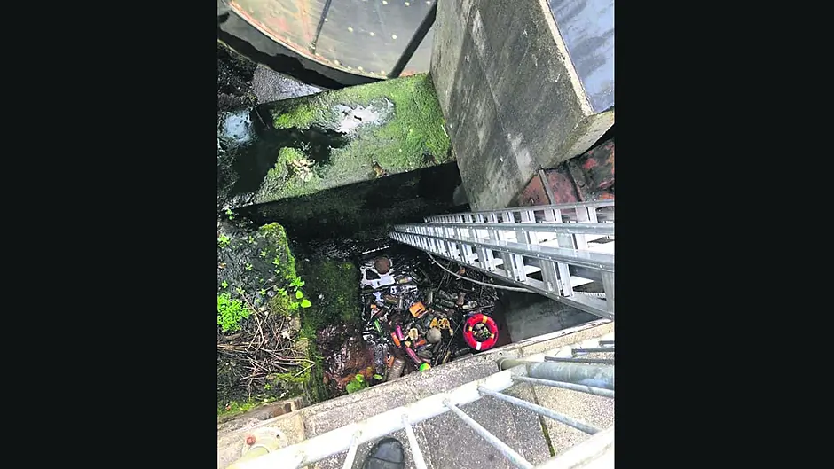 Fire service comes to the  aid of Bantry Tidy Towns Image