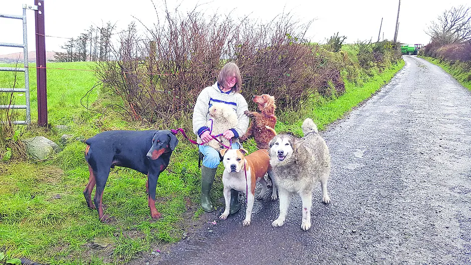 West Cork generosity comes to rescue of Anita and her ‘family’ Image