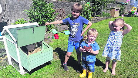 McCarthy kids taking egg-cellent care of St Patrick’s school garden Image