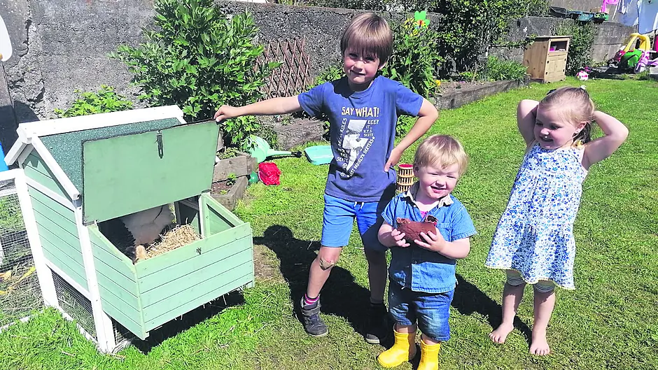 McCarthy kids taking egg-cellent care of St Patrick’s school garden Image