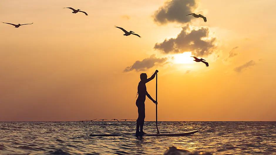 Life’s a beach, a very trendy one Image