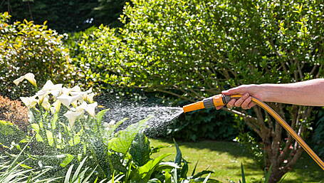 Hosepipe ban now likely Image