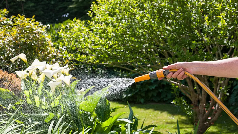 Hosepipe ban now likely Image