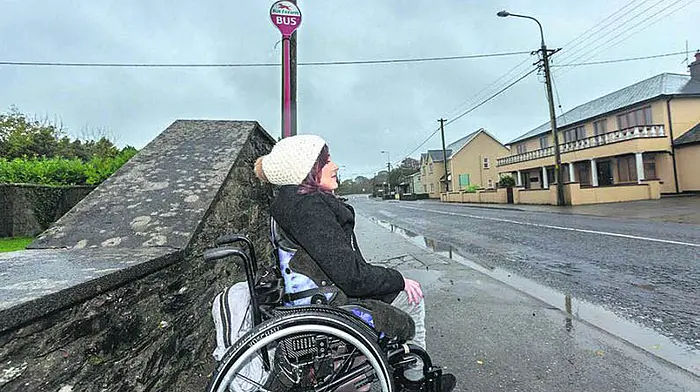 Wheelchair accessible bus stops being considered Image
