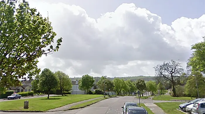 Gardaí probe stabbing of teen in Carrigaline which was posted on Twitter Image