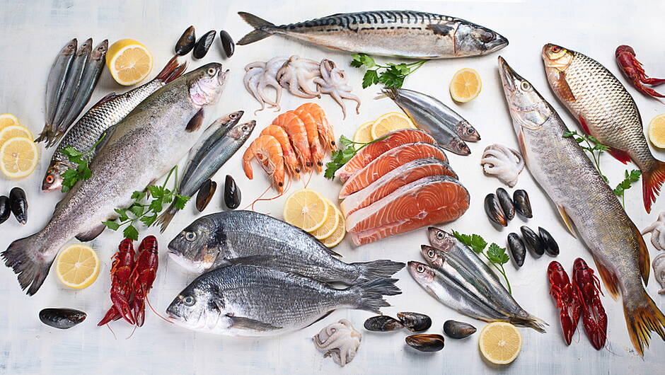 The Fish Station Image 